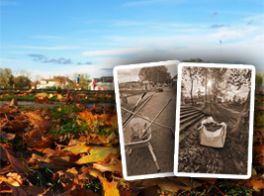 Arbeitseinsatz am 31.10.26